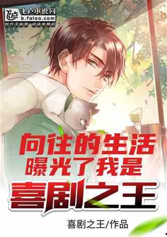 成人娱乐视频小说,成人娱乐小说的私密世界